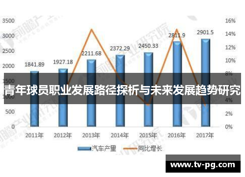 青年球员职业发展路径探析与未来发展趋势研究 青年球员职业发展路径探析与未来发展趋势研究