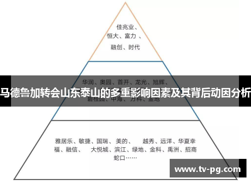 马德鲁加转会山东泰山的多重影响因素及其背后动因分析 马德鲁加转会山东泰山的多重影响因素及其背后动因分析