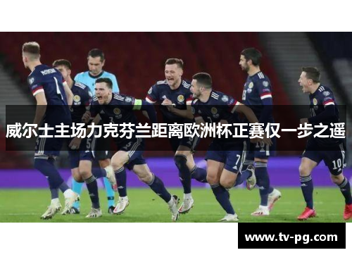 威尔士主场力克芬兰距离欧洲杯正赛仅一步之遥